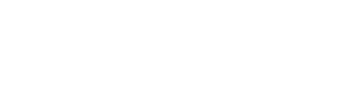 Expert WordPress, Freelance, Agence Web